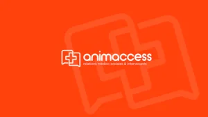AnimAccess